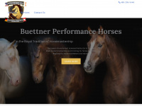 buettnerperformancehorses.com Thumbnail