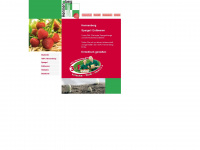 hennenberg-erdbeeren.de Webseite Vorschau