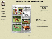 hofmannstalboxer.com Webseite Vorschau