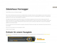 hornegger.com Webseite Vorschau