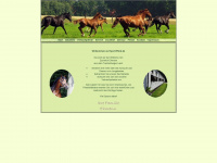 horse-international.de Webseite Vorschau