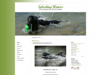 splashingwaters.ch Thumbnail