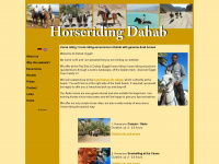 horseriding-dahab.com