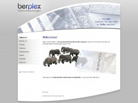 berplex.de Webseite Vorschau