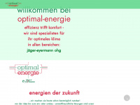 optimalenergie.de Webseite Vorschau