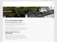 hts-hoffmann.de Webseite Vorschau