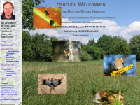 hintsche.com Webseite Vorschau
