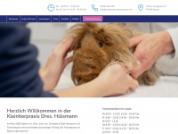 huelsmann-tierarztpraxis.de Webseite Vorschau