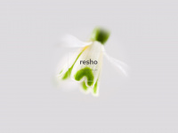 resho.com Webseite Vorschau