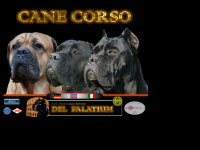 il-cane-corso.com Webseite Vorschau