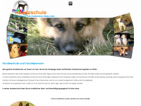 hunde-schule-wietze.de Thumbnail