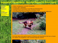 hundepension-plettenberg.de Webseite Vorschau