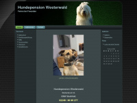 hundepension-westerwald.de Webseite Vorschau
