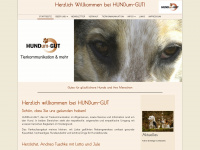 hundum-gut.de Webseite Vorschau