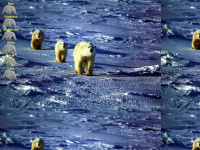 ice-bear.de Webseite Vorschau