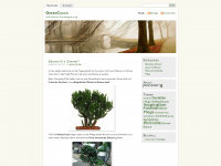 greencoachde.wordpress.com Thumbnail