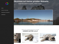 info-berens.de Webseite Vorschau