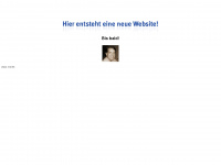 info-swap.de Webseite Vorschau