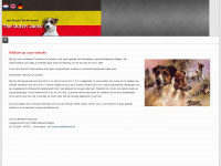 jackrussellterrier.be Webseite Vorschau