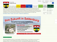 saldenburg.de Webseite Vorschau