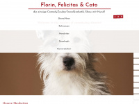 florin-cato.de Webseite Vorschau