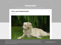 infopendula.blogspot.com Webseite Vorschau