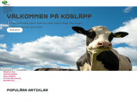 arla.se Webseite Vorschau