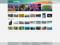 naturposter.de Thumbnail