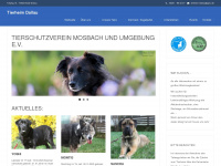 tierheim-dallau.de Webseite Vorschau