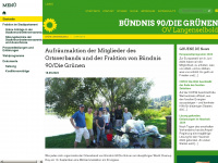 gruene-langenselbold-ov.de Webseite Vorschau