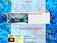 ipdi2002.org Webseite Vorschau