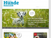 hundemagazin.ch Webseite Vorschau