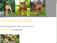 irish-love-in-gold.de Webseite Vorschau