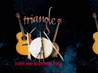 irish-music-triangle-bs.de Webseite Vorschau