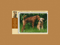 irish-terrier-page.de Thumbnail