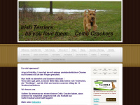 irish-terriers.de Webseite Vorschau