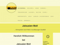 jalousienmoll.de Webseite Vorschau