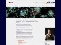 intendo-ib.de Webseite Vorschau