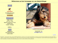 janbuerger.de Webseite Vorschau