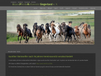 islandpferde-siegerland.de Webseite Vorschau