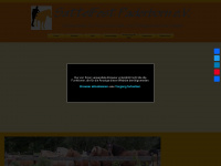 sattelfest-paderborn.de Webseite Vorschau