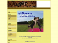 dance4dogs.de Webseite Vorschau