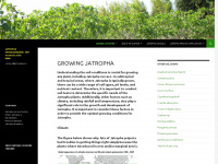 jatropha.pro Webseite Vorschau