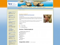 isw-ingenieure.com Webseite Vorschau