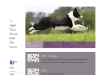 jumpingdogs.de Webseite Vorschau