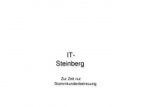 it-steinberg.de Webseite Vorschau