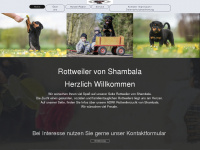 rottweiler-kuelzer.de Webseite Vorschau