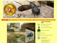 reike-entomologie.de Webseite Vorschau