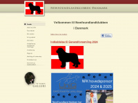 newfclub.dk Webseite Vorschau