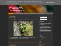 sugosalzburg.blogspot.com Webseite Vorschau